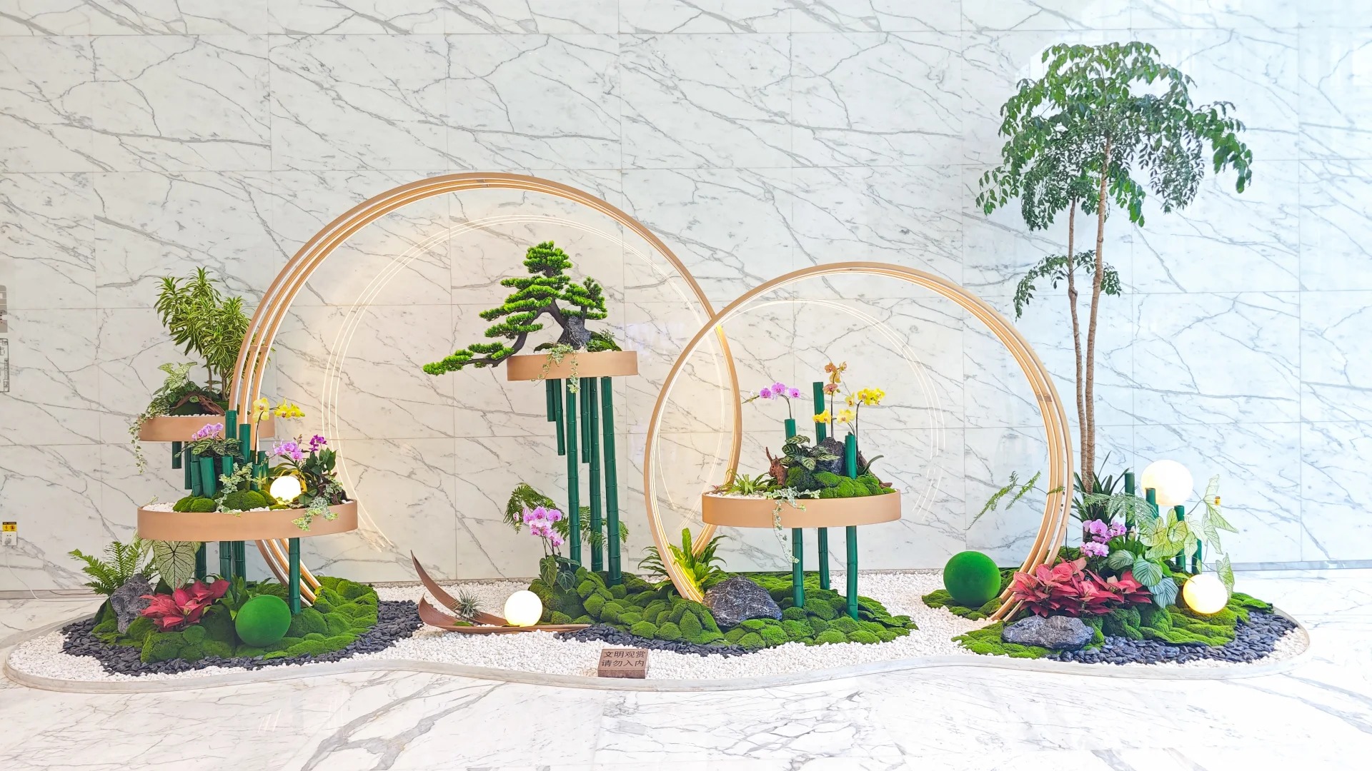 专业绿植租摆奉化，开启绿色生活篇章