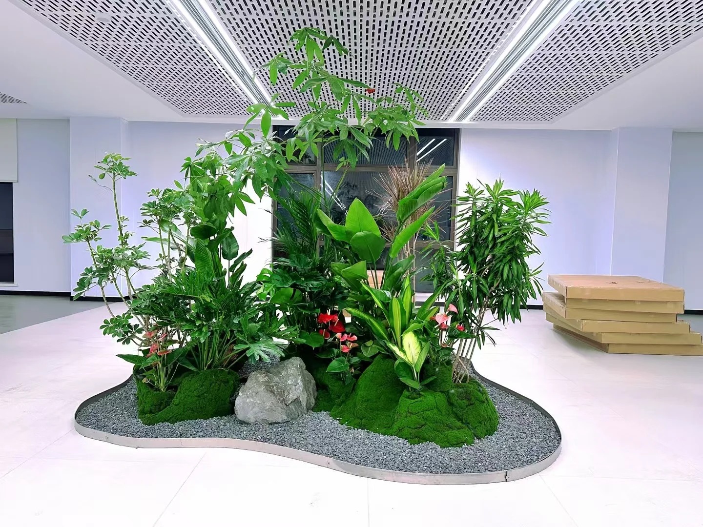 专业绿植租摆奉化，开启绿色生活篇章